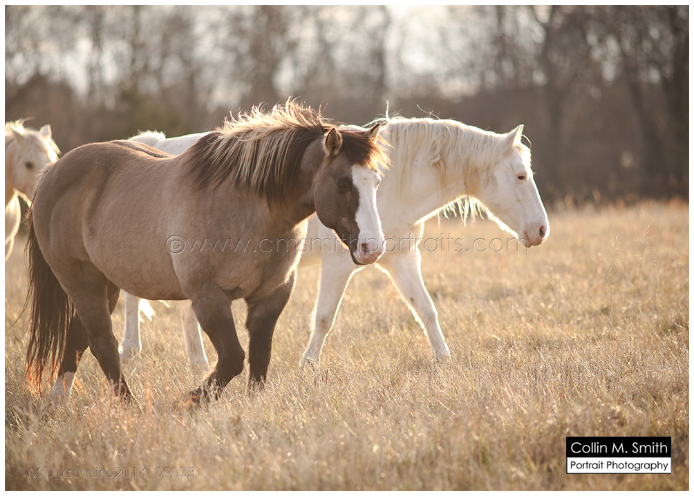 MO_cousins2014_00003FB